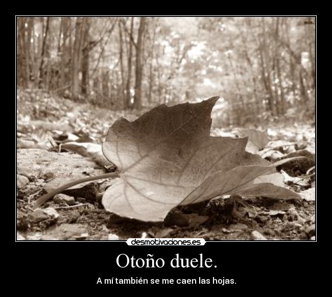 Otoño duele. - 