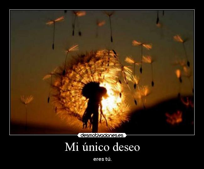 Mi único deseo - 