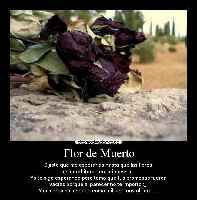 carteles love desmotivaciones