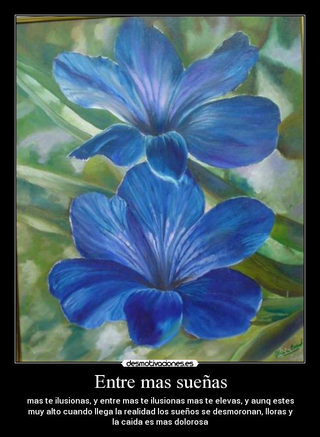 Entre mas sueñas - mas te ilusionas, y entre mas te ilusionas mas te elevas, y aunq estes
muy alto cuando llega la realidad los sueños se desmoronan, lloras y
la caida es mas dolorosa
