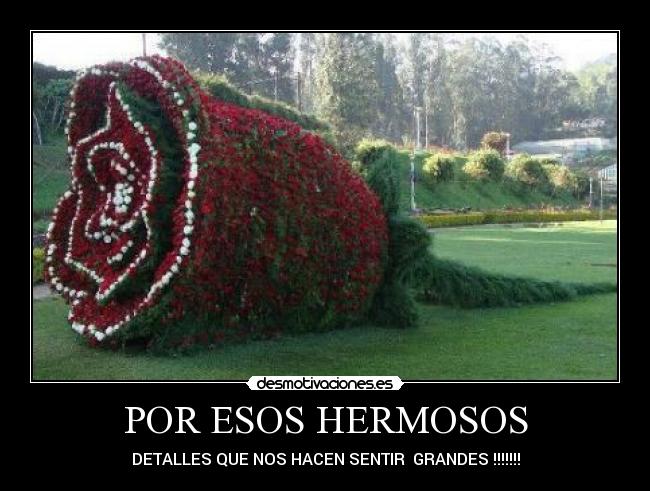 POR ESOS HERMOSOS - DETALLES QUE NOS HACEN SENTIR  GRANDES !!!!!!!