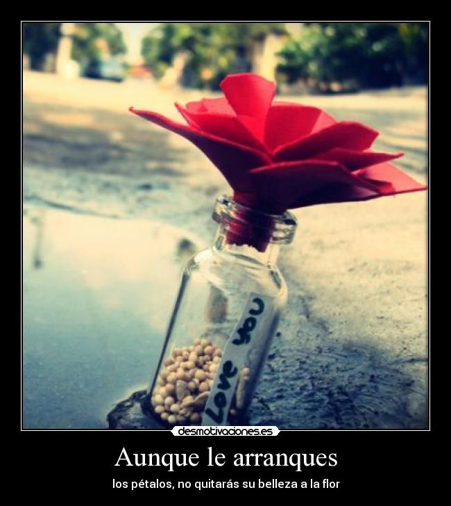 Aunque le arranques -