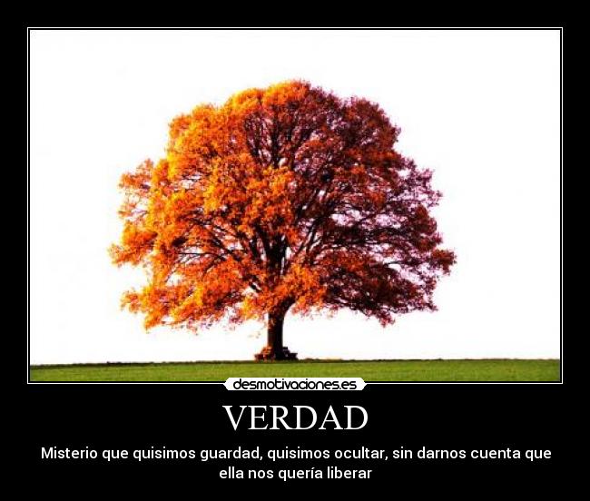 VERDAD - 