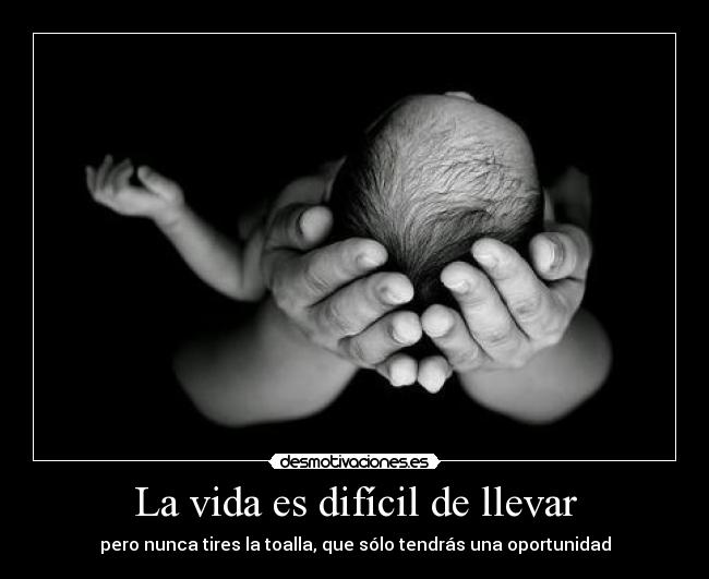 carteles vida vida desmotivaciones