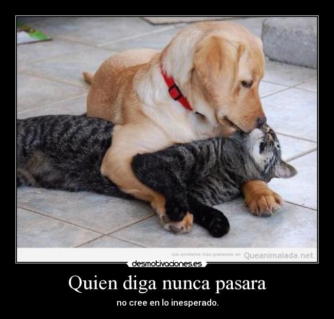 Quien diga nunca pasara - 