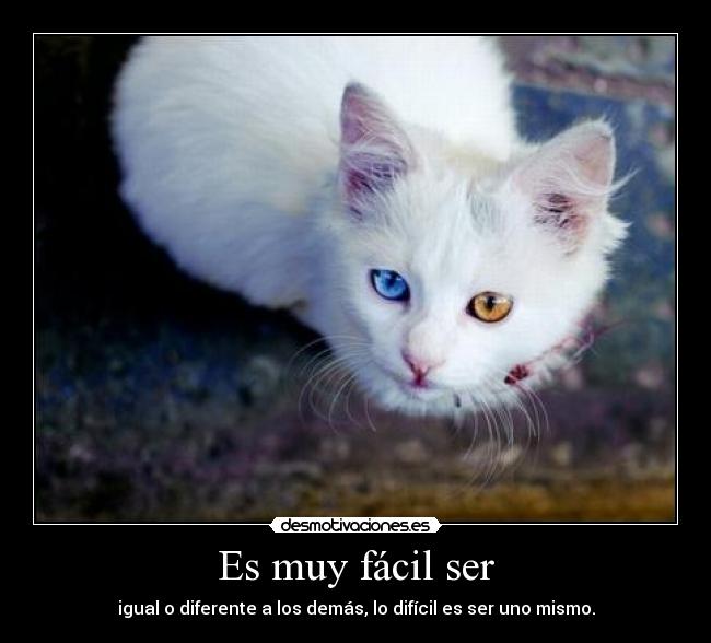 Es muy fácil ser - igual o diferente a los demás, lo difícil es ser uno mismo.