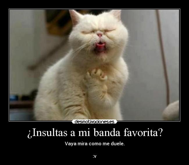 ¿Insultas a mi banda favorita? -