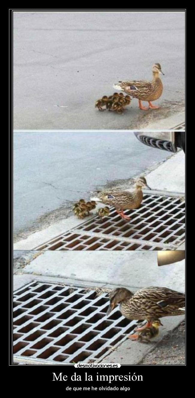 Me da la impresión - de que me he olvidado algo