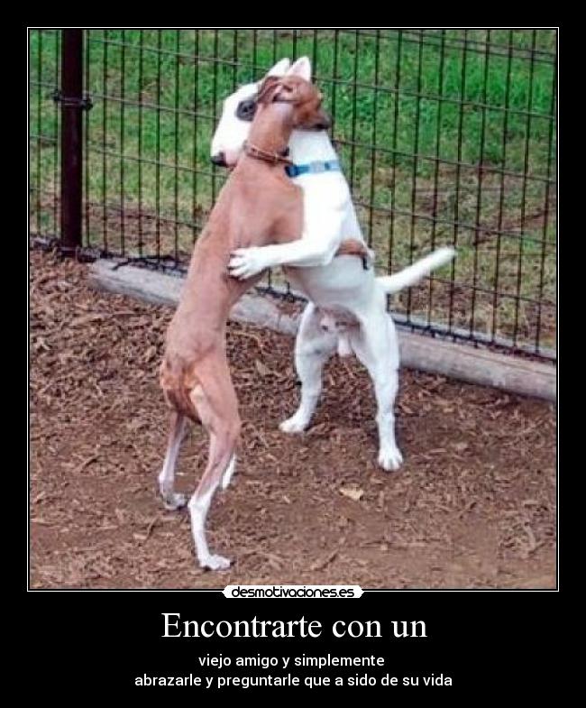 Encontrarte con un - viejo amigo y simplemente 
abrazarle y preguntarle que a sido de su vida