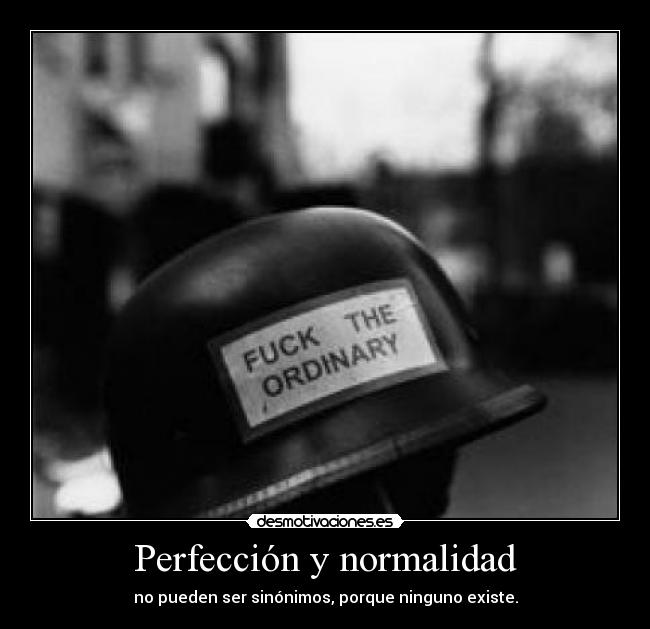 Perfección y normalidad - no pueden ser sinónimos, porque ninguno existe.