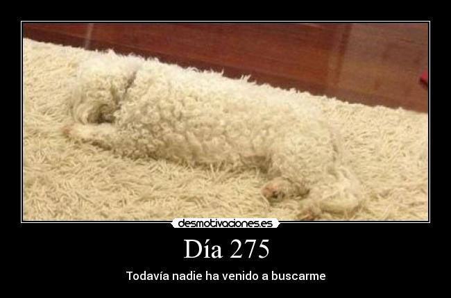 Día 275 - Todavía nadie ha venido a buscarme