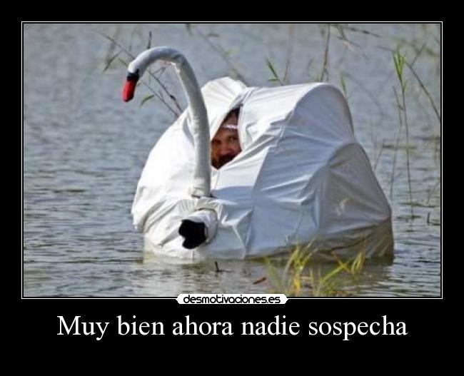 Muy bien ahora nadie sospecha -