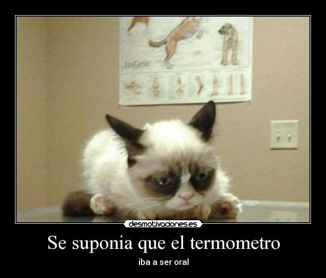 Se suponia que el termometro -