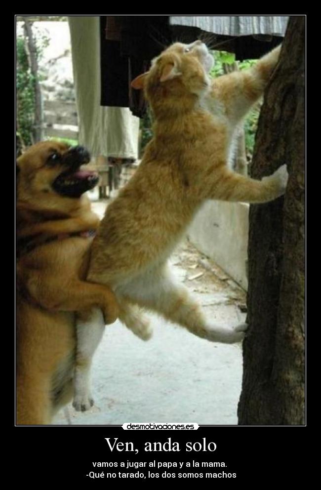 Ven, anda solo - vamos a jugar al papa y a la mama.
-Qué no tarado, los dos somos machos