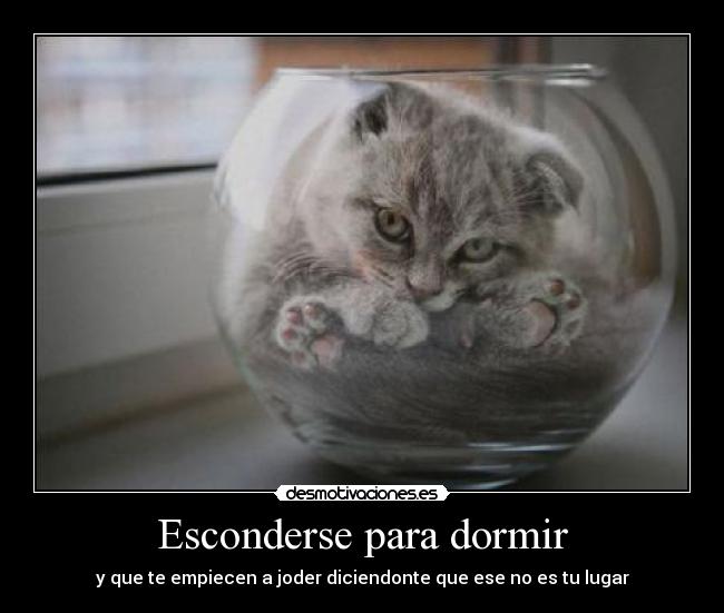 Esconderse para dormir -