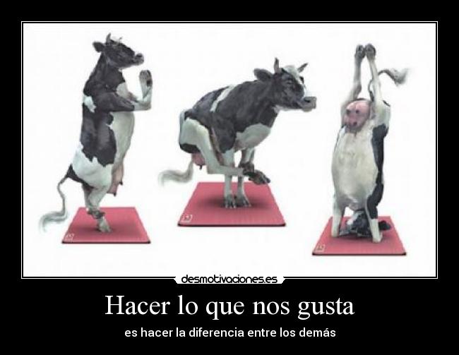 Hacer lo que nos gusta - 
