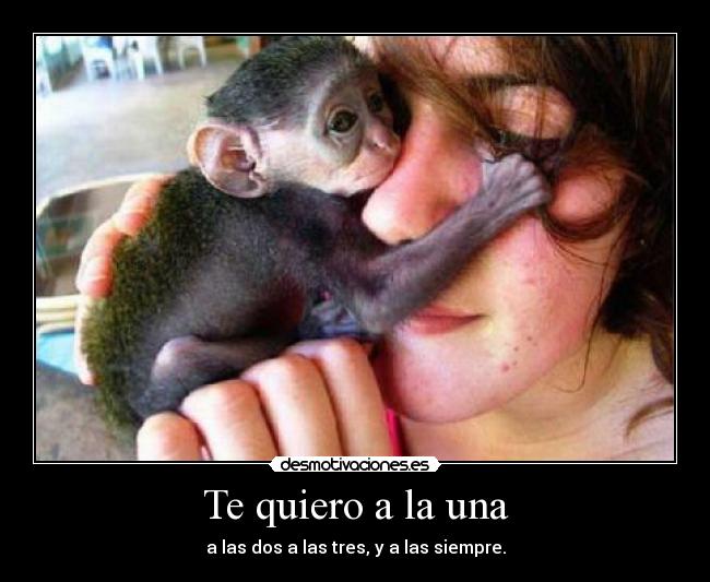 Te quiero a la una - 