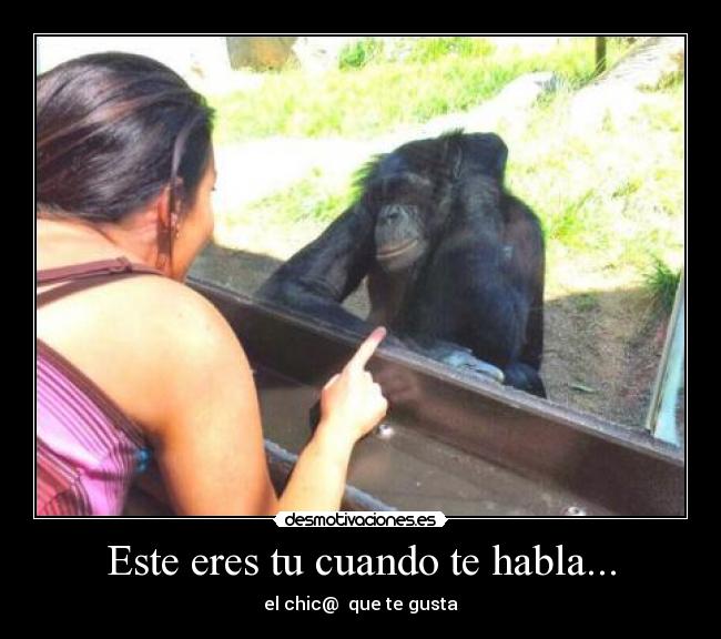 carteles thththth desmotivaciones