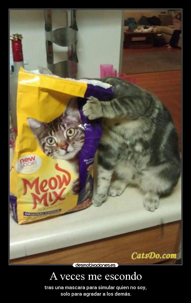 A veces me escondo - tras una mascara para simular quien no soy,
solo para agradar a los demás.