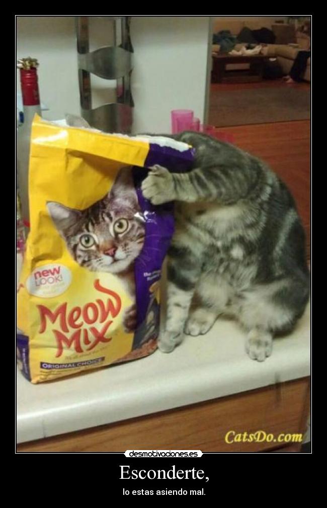 Esconderte, - lo estas asiendo mal.