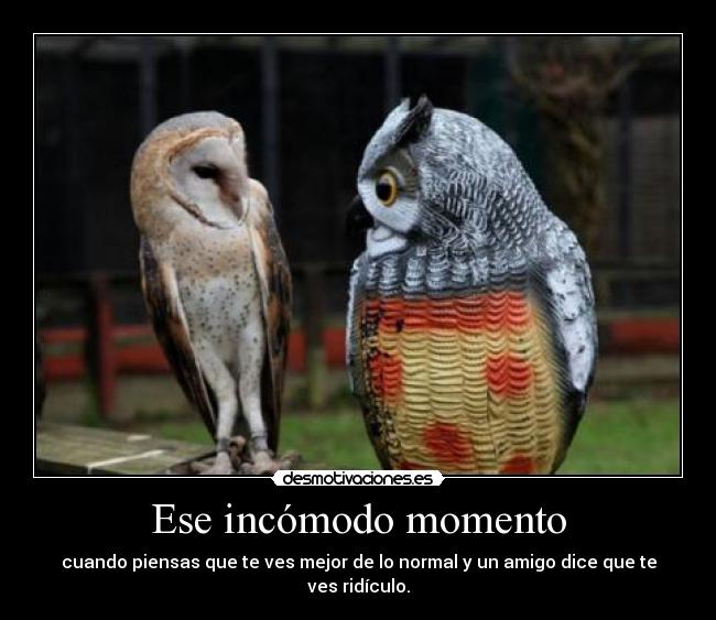 Ese incómodo momento - cuando piensas que te ves mejor de lo normal y un amigo dice que te ves ridículo.