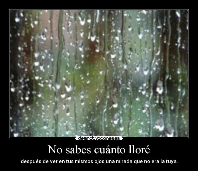 No sabes cuánto lloré -
