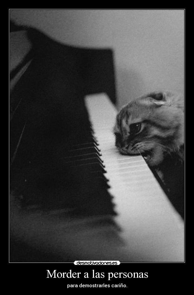 carteles gatosmordiendo piano carino musical desmotivaciones