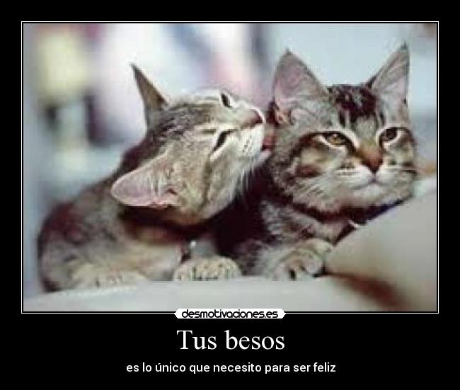 Tus besos - es lo único que necesito para ser feliz