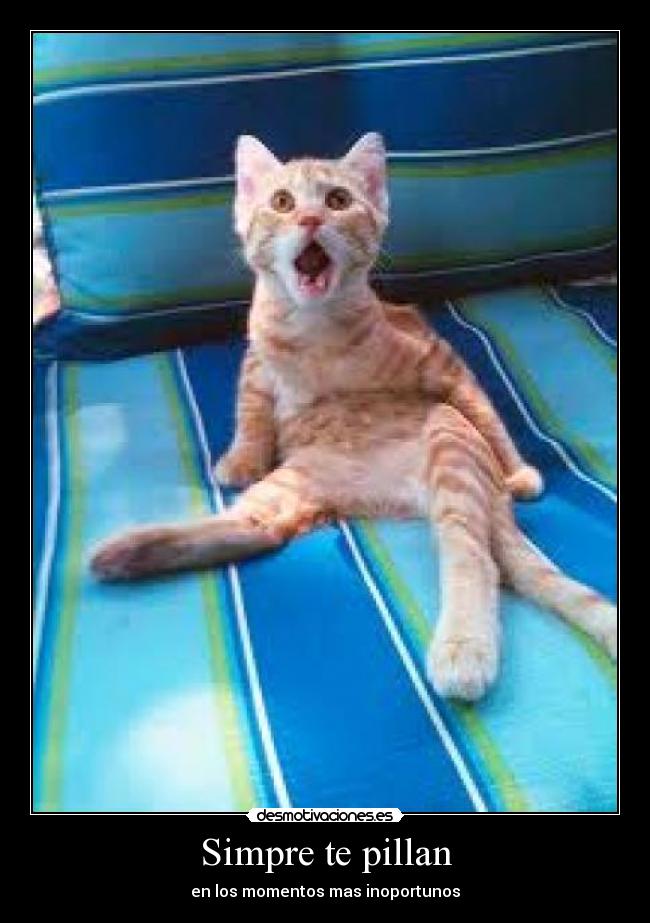 Simpre te pillan - 