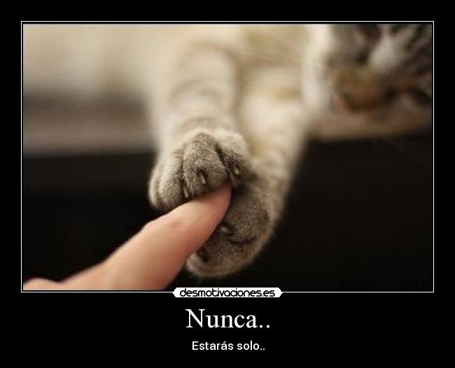 Nunca.. - Estarás solo..