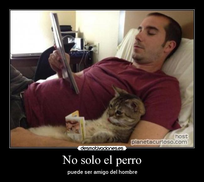 No solo el perro - puede ser amigo del hombre