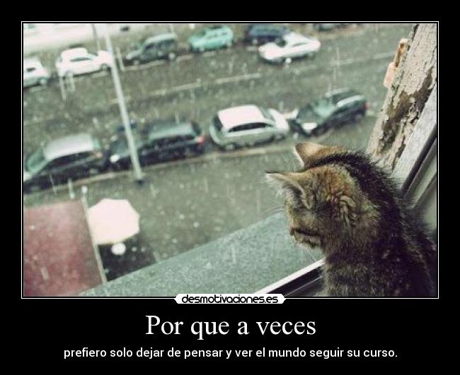 carteles prefiero solo dejar pensar desmotivaciones