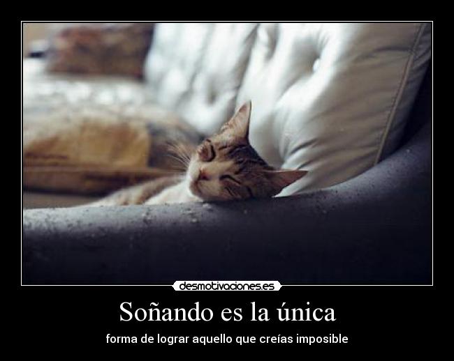 Soñando es la única -