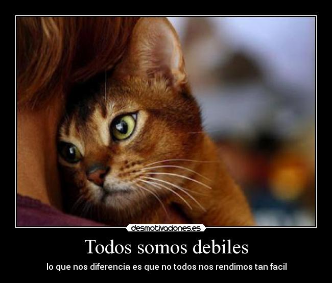 carteles debilidad todos tenemos pero unos resisten mas que otros dosguiond desmotivaciones