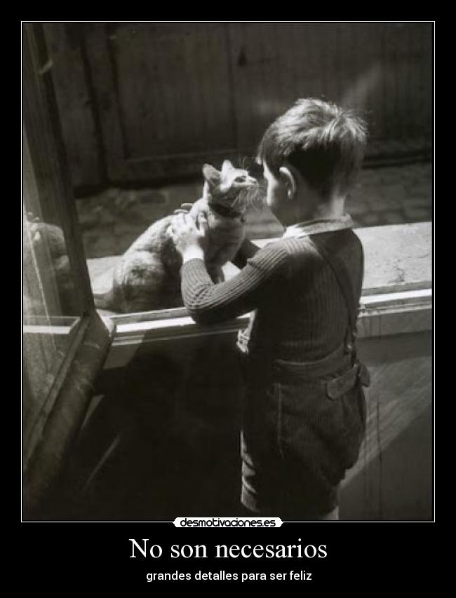 No son necesarios - 