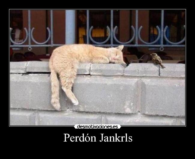 Perdón Jankrls - 