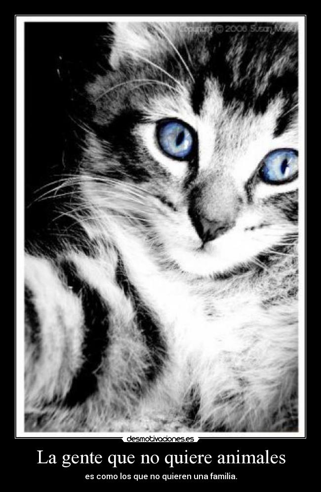 La gente que no quiere animales - es como los que no quieren una familia.