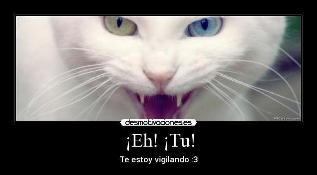 ¡Eh! ¡Tu! - 