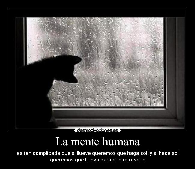 carteles mente complicadas dosguiond desmotivaciones