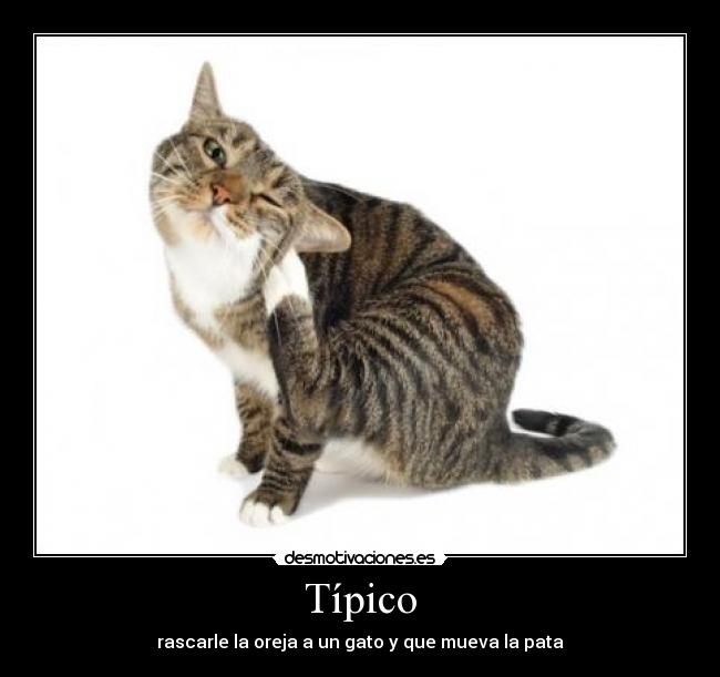 Típico -
