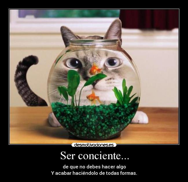 Ser conciente... - 