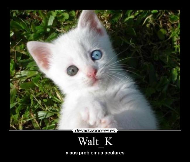 Walt_K -
