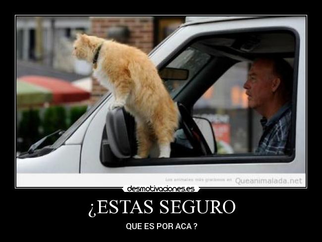 ¿ESTAS SEGURO -