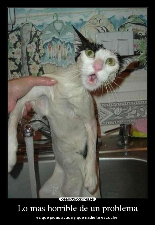 carteles mas horrible problema desmotivaciones