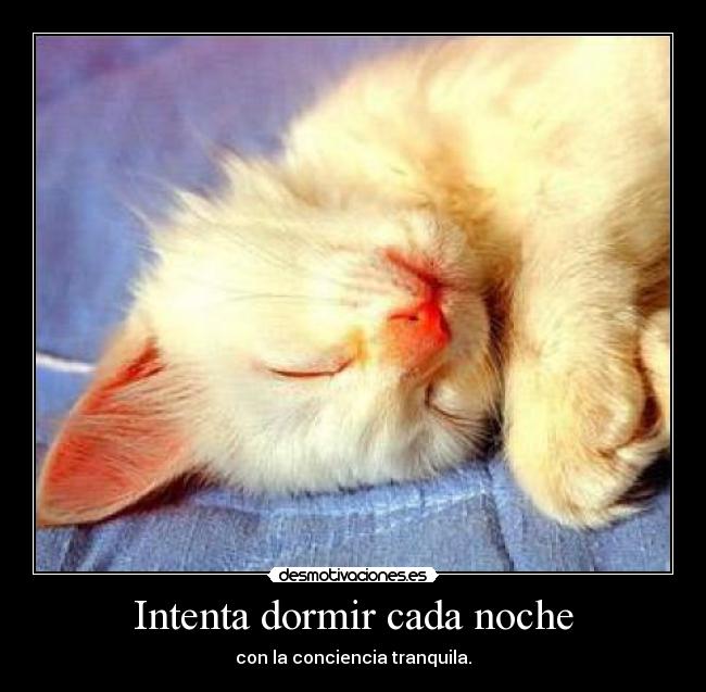 Intenta dormir cada noche -