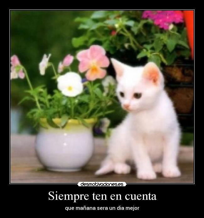 Siempre ten en cuenta - 