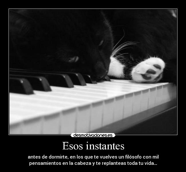 Esos instantes - antes de dormirte, en los que te vuelves un filósofo con mil
pensamientos en la cabeza y te replanteas toda tu vida…