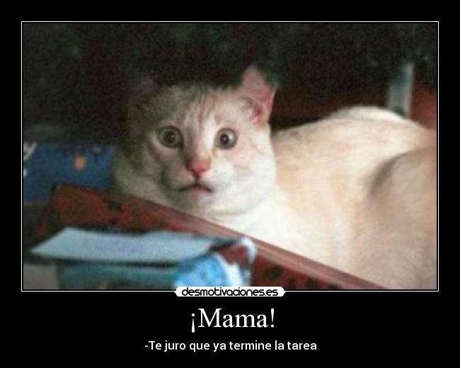 carteles esas son puras mentiras desmotivaciones