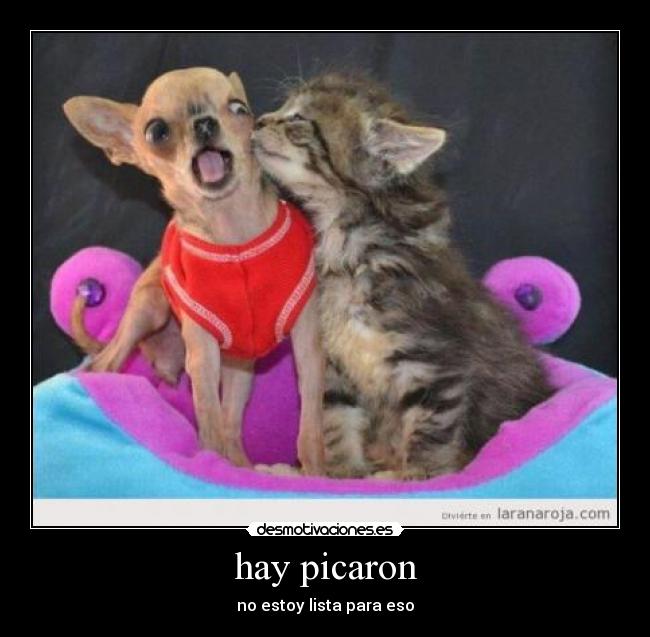 hay picaron -