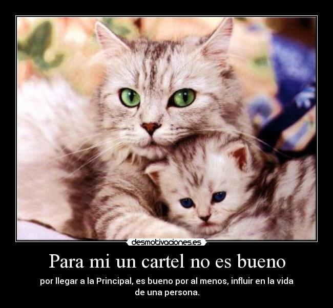 Para mi un cartel no es bueno - por llegar a la Principal, es bueno por al menos, influir en la vida de una persona.